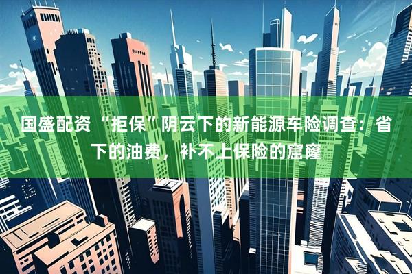 国盛配资 “拒保”阴云下的新能源车险调查：省下的油费，补不上保险的窟窿
