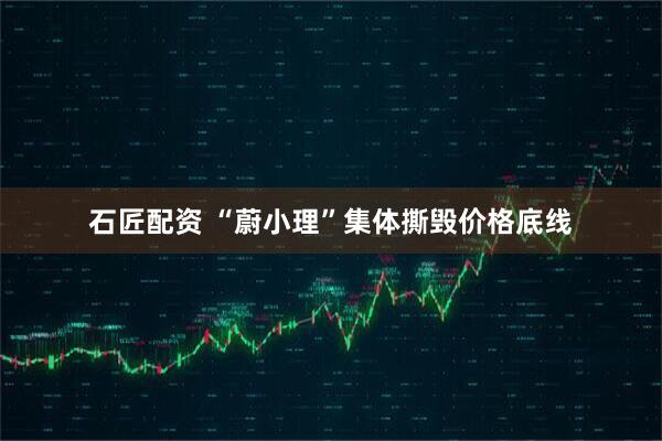 石匠配资 “蔚小理”集体撕毁价格底线