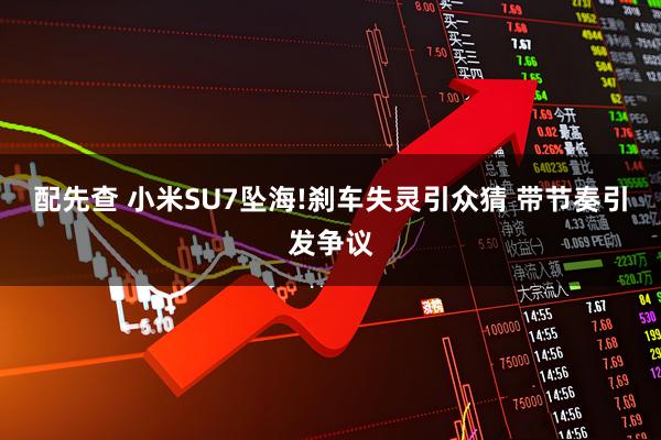 配先查 小米SU7坠海!刹车失灵引众猜 带节奏引发争议